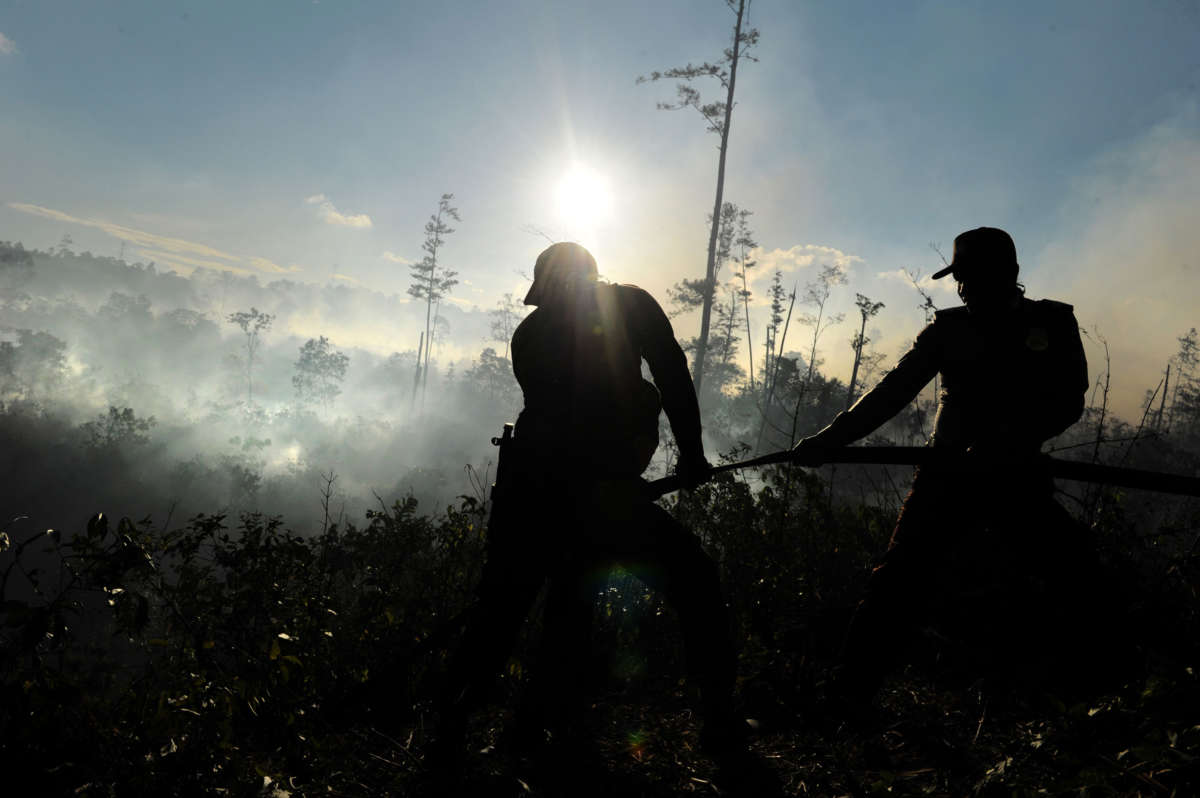Deforestation and Monoculture Farming Spread COVID-19 and Other Diseases