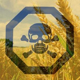 Seeds of Destruction: The Diabolical World of Genetic Manipulation