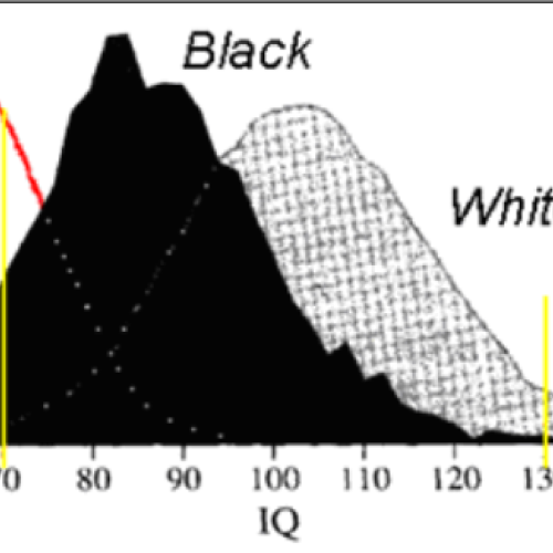 Nigerians, Jews and Scrabble: An Update on the IQ Debate