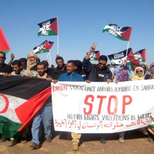 Western Sahara: Over 270 organizations alert OHCHR on Morocco’s human rights violations