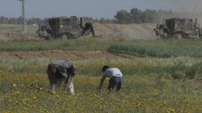 Gaza: Nazi soldiers, Navy, Attack Farmers and Shepherds