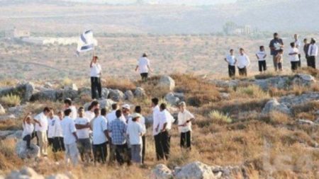 Nazi Jewish Settlers Attack Palestinian Elderly Disabled Woman