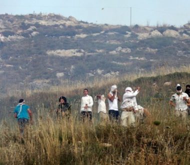 Palestinian Children Exposed to Pesticides Sprayed by Nazi Jewish Settlers