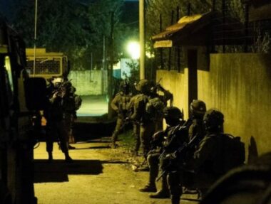 West Bank: Nazi Soldiers Abduct Ten Palestinians