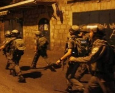 Nazi Soldiers Injure Six Palestinians, Abduct Five