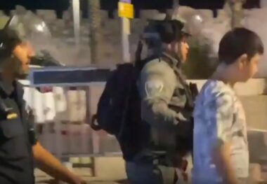 Nazi Soldiers Abduct Five Palestinians