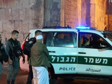 Nazi Soldiers Abduct Two Palestinians