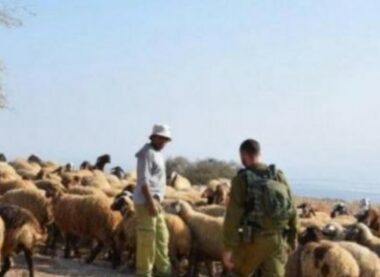 NazI Soldiers Abduct A Shepherd