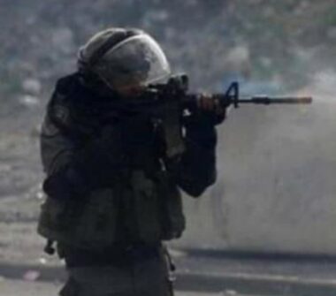 Jenin: Nazi Soldiers Seriously Injure A Palestinian
