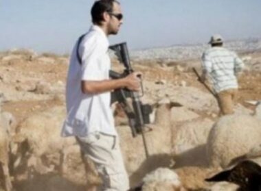 Bethlehem: Nazi Colonizers Attack Shepherds