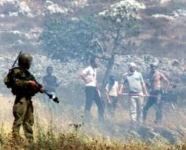Bethlehem: Nazi Colonizers Attack Palestinians In Olive Orchard