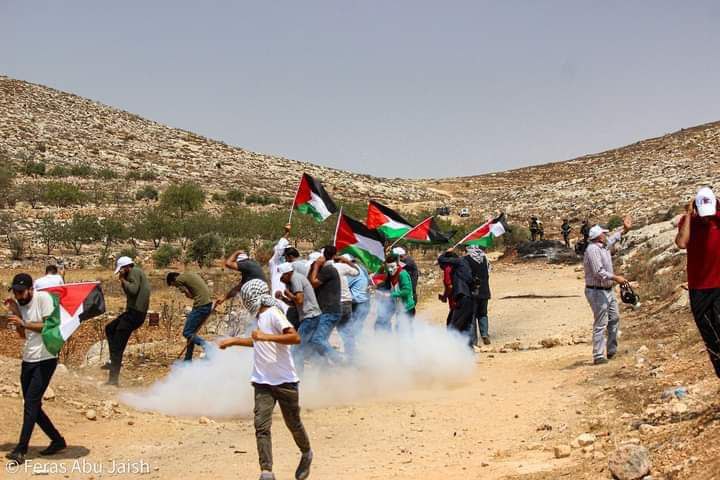 Nazi Forces Injure Dozens of Palestinians in Beita, Beit Dajan