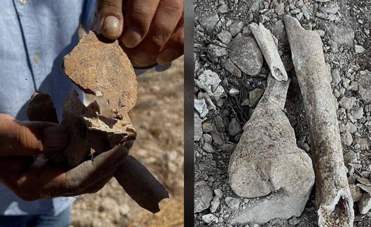 Jerusalem: Nazi Soldiers Desecrate Graves Injure Three Palestinian Protesters
