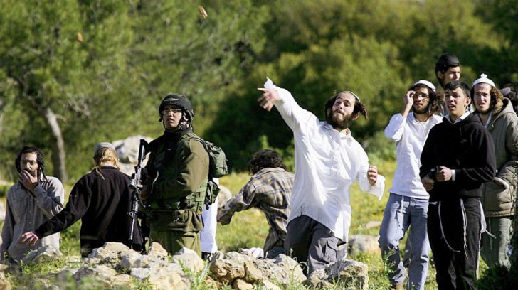450 incidents of Nazi Jewish settler violence against Palestinians in two years