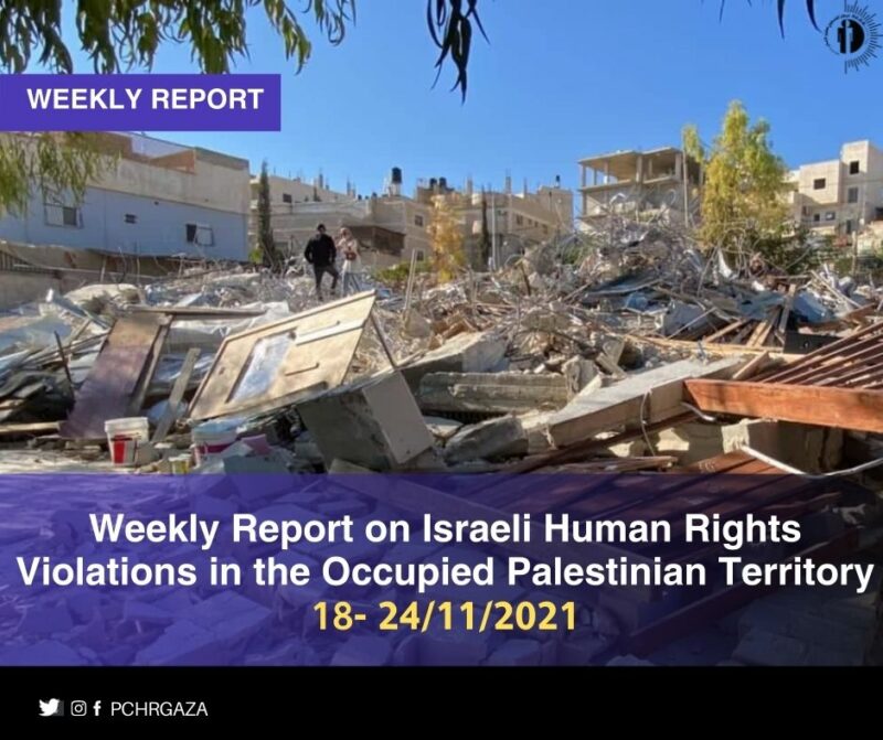 Palestine: Weekly Report on Nazi Human Rights Violations