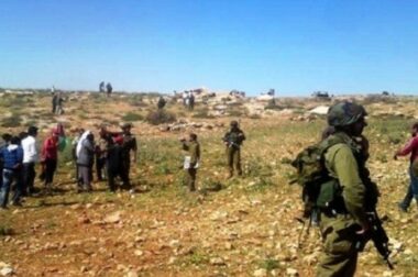 Hebron: Nazi Soldiers, Jewish Colonizers, Attack Farmers, Prevent Them From Working On Their lands