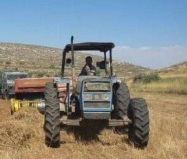 Nazi Soldiers Confiscate A Palestinian Tractor In Northern Plains