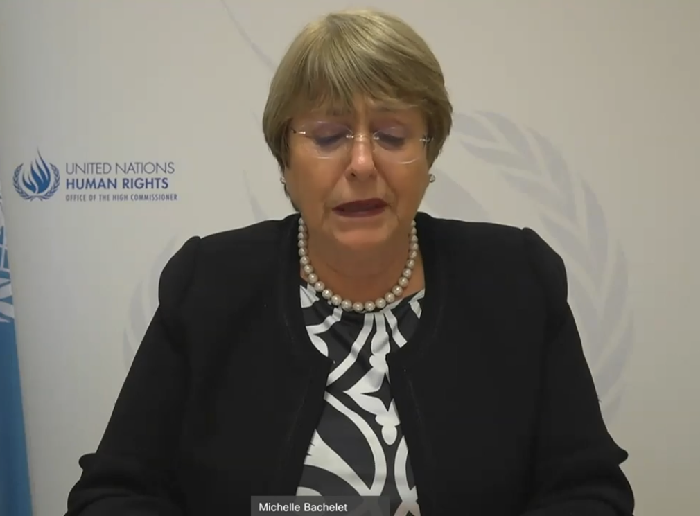 High Commissioner Michelle Bachelet Briefs UN Committee on “disastrous” Humanitarian Situation in Palestine