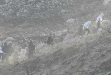 Nablus: Nazi Colonizers Attack Homes, Cars