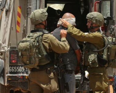 Nazi Soldiers Abduct a Palestinian In Northern Plains