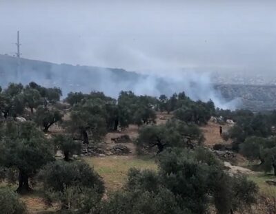Beita: Nazi Army Attacks Protesters In Sbeih Mountain