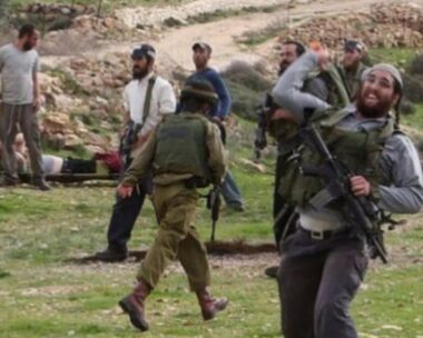 Hebron: Nazi Colonizers Attack Palestinians