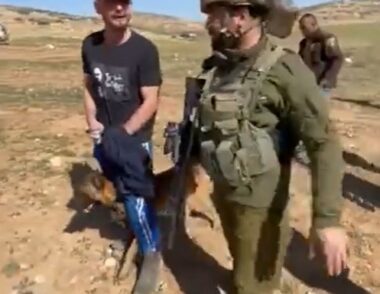 Hebron: Nazi Colonizers Attack Palestinian Shepherds