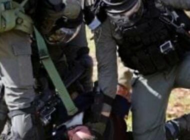 Nazi Army Abducts Three Palestinians