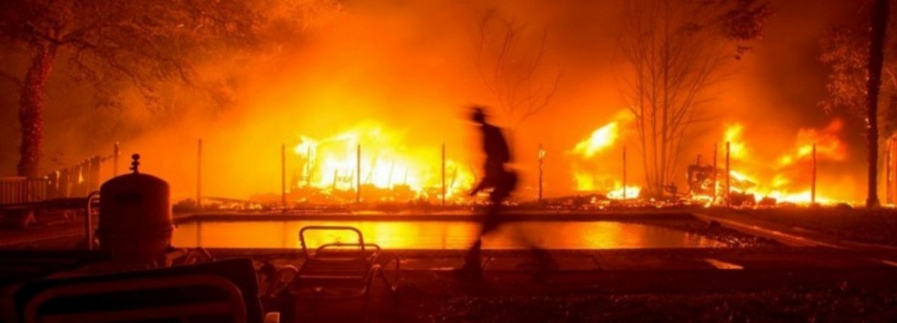 The Global Ruling Class Is Frog-Marching Us Towards Extinction