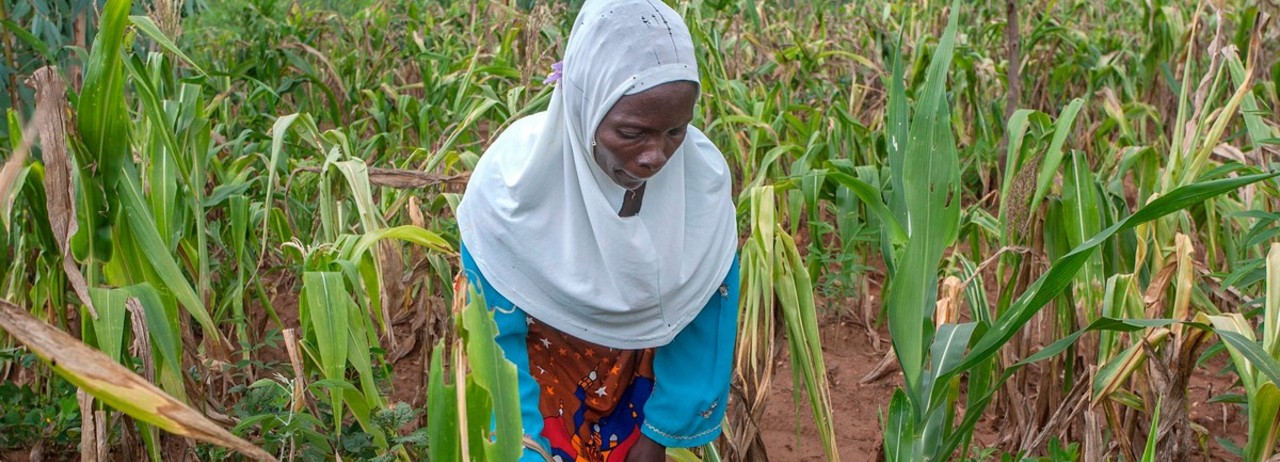 The ‘Green Revolution’ Has Failed in Africa and It’s Time for a New Direction