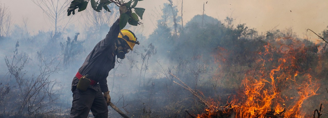 Bolsonaro Drove Brazil’s 2021 Emissions to Highest Level in Nearly Two Decades