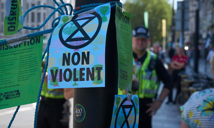 Environmentalists: time to look your gift horse in the mouth