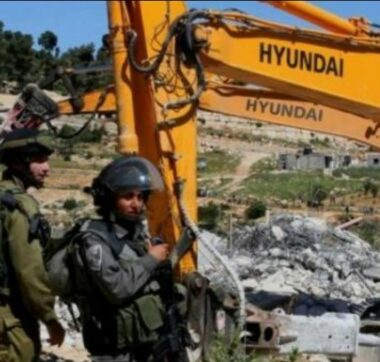 Hebron: Army Demolishes Room, Uproots Five Olive Trees