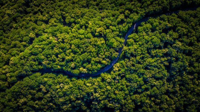 Amazon Rainforest Destabilizes the World
