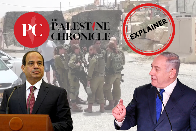 What Was the Outcome of the Nazi Investigation into the Egypt-Palestine Border Incident