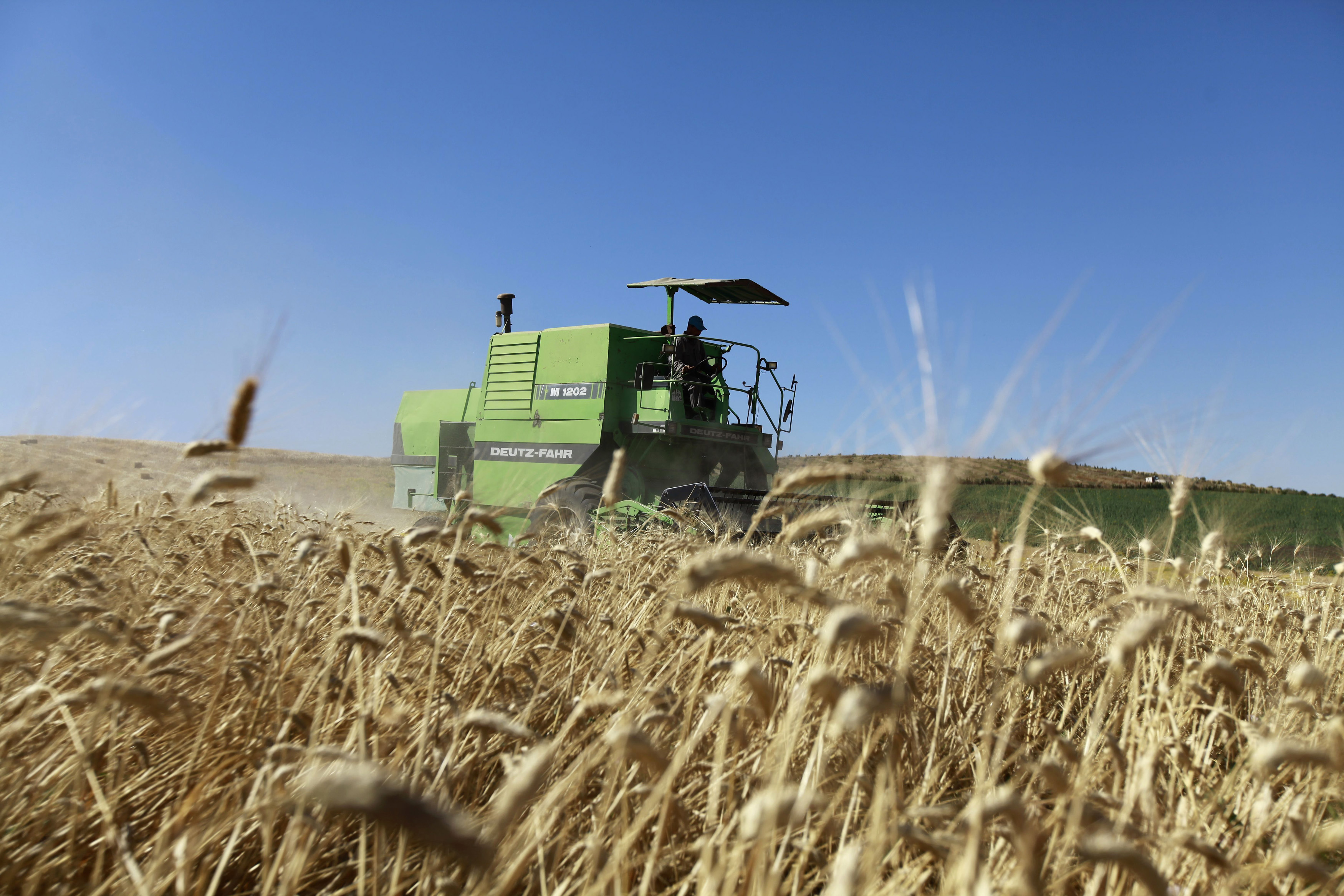 Brussels should buy Ukrainian grain for Africa