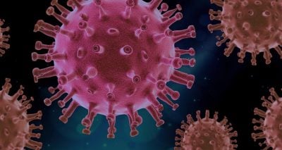 There Never Was a “New Virus”, There Never was a Pandemic