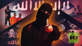 ‘It all came from the West’: Who is behind the golden age of terrorism in the Middle East?
