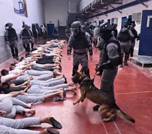 WAFA: “Leaked Documentation Reveals Brutal Assault on Prisoners in Megiddo Prison”