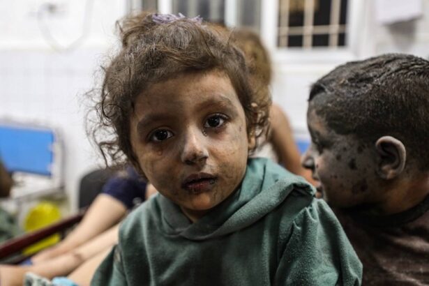 The beginnings of ethnic cleansing in northern Gaza, as Year Two of the revolution begins
