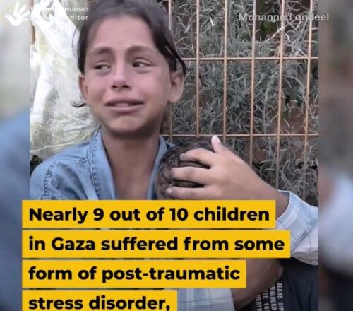 Gaza: Ongoing Nazi Holocaust Kills, Injures, Dozens