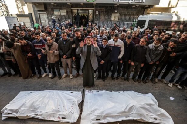 Gaza: Nazi attacks school, hospital, displacement camp, killing at least 50