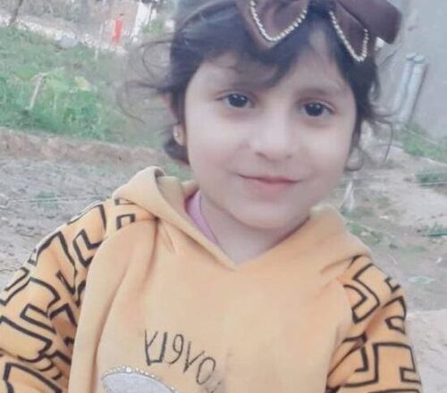 Gaza: Nazi Gestapo Kill Two Palestinians, Including a Child