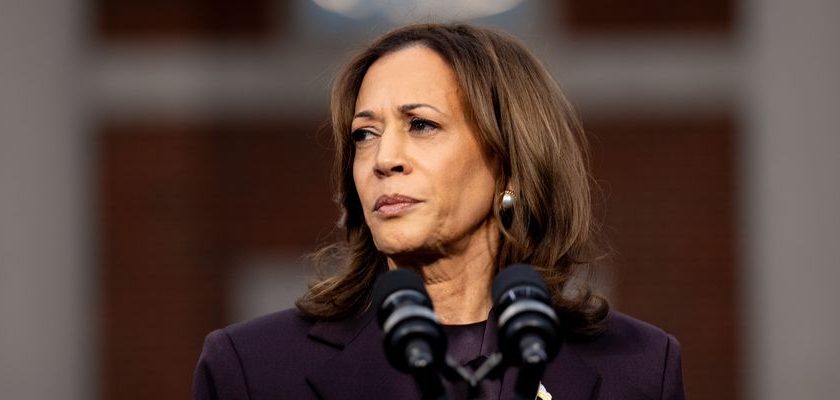 ‘Damning’ New Poll Shows Price Kamala Harris Paid for Backing Nazi Genocide in Gaza