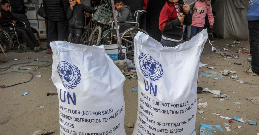 I Would Not Have Survived Without UNRWA