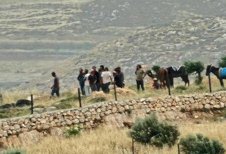Nazi Jewish Colonizers Assault Three Palestinians In Northern Plain