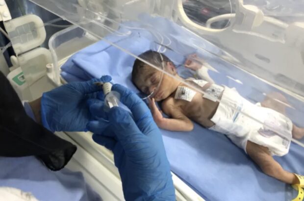 ‘Trapped in incubators’: Gaza’s premature babies caught between Nazi siege and world silence