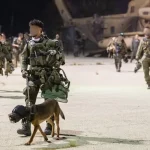 Sorry If This Is Antisemitic But I Think It’s Wrong To Train Dogs To Rape Prisoners