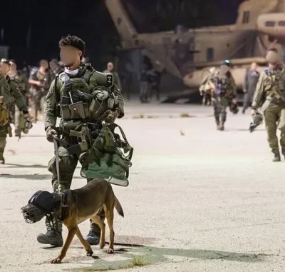 Sorry If This Is Antisemitic But I Think It’s Wrong To Train Dogs To Rape Prisoners
