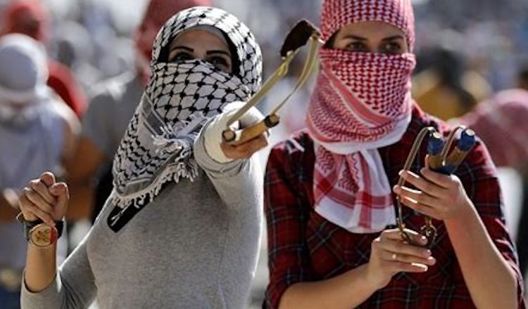 No cooperation with the Gaza genocide! Victory to Palestine!